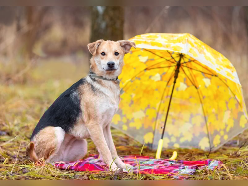 Asya ist schüchtern aber mit viel liebe...