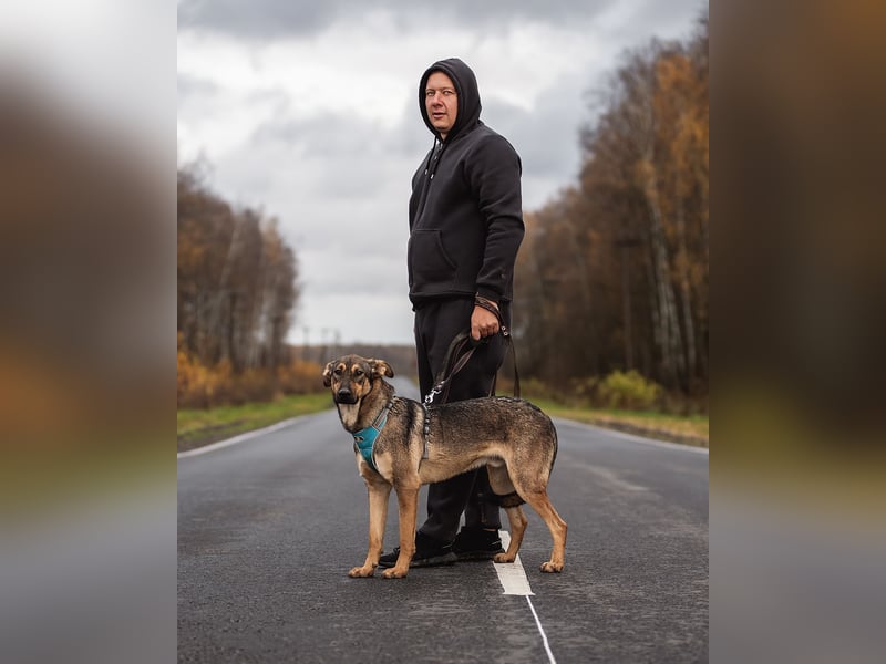 Mutiger Krosh sucht aktive Familie