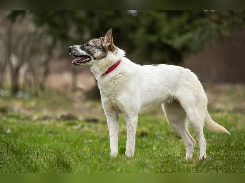 Julia will liebe und Geborgenheit