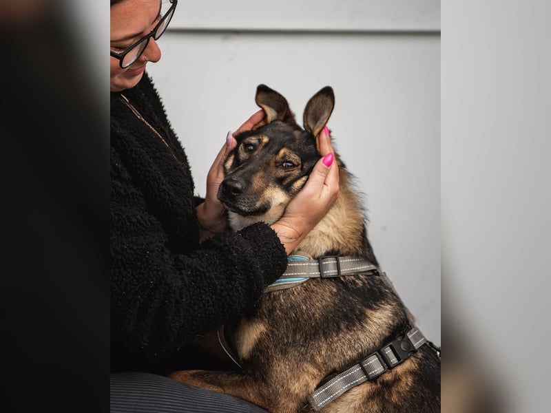 Liebevolle Olivka sucht ihren platz