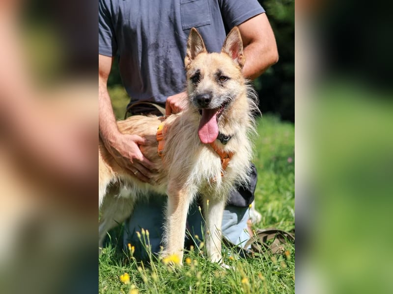 Arisu sucht Familie für immer