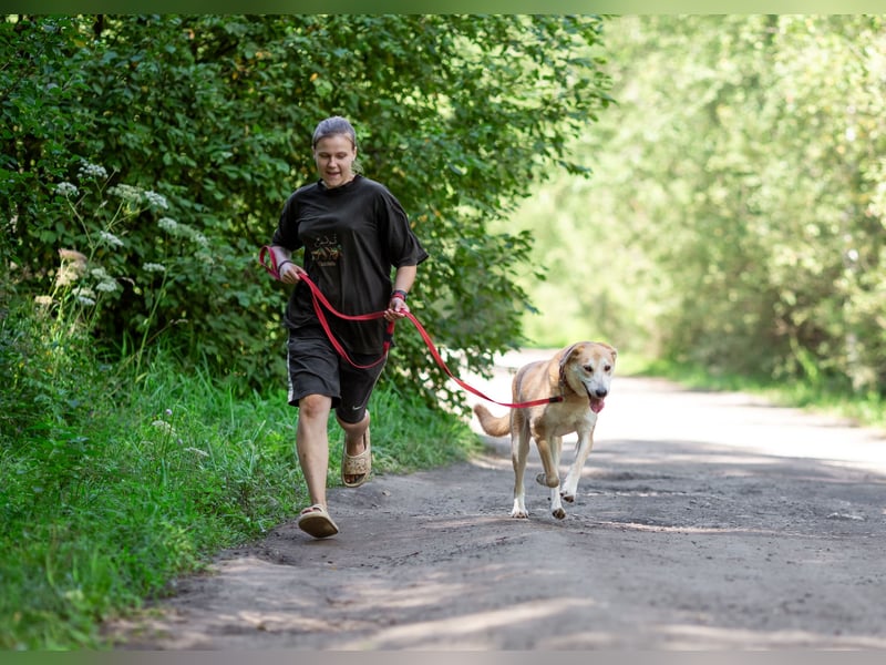 Ulan, weiches Herz wartet auf einen tollen Besitzer