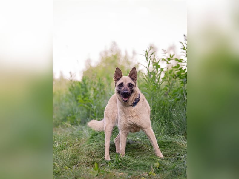 Sanfte Sofia sucht treue Familie