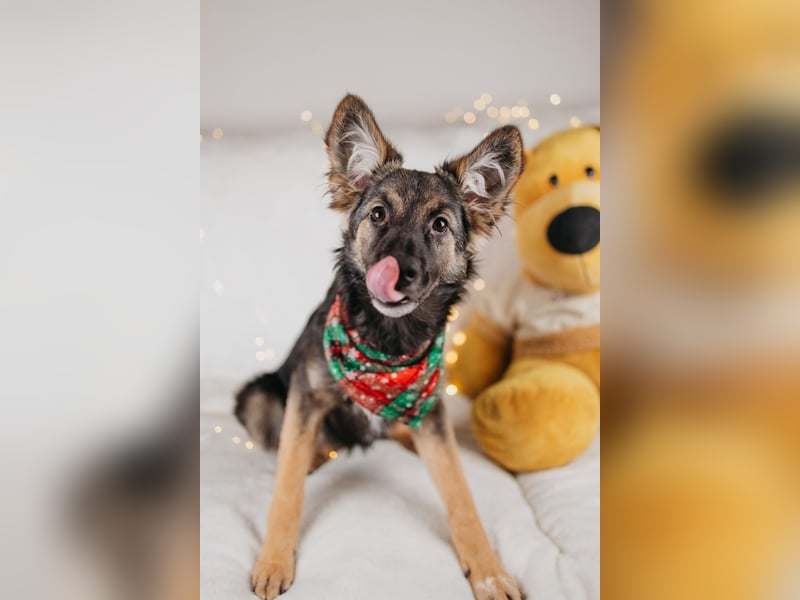 Verzaubert dich die kleine Lisa ?!