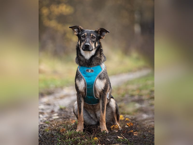 Liebevolle Olivka sucht ihren platz