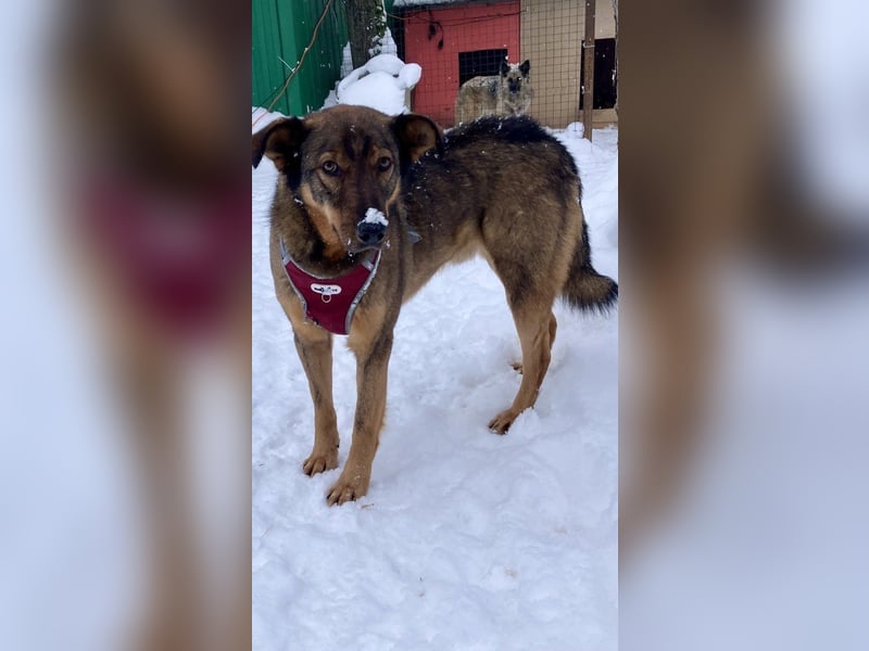 Marquise sucht liebevolle Menschen