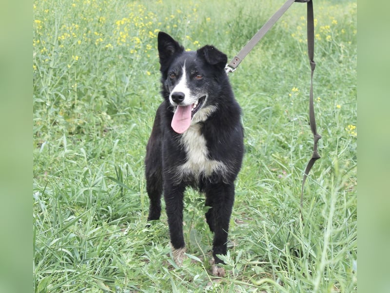 Mike sucht Traumzuhause