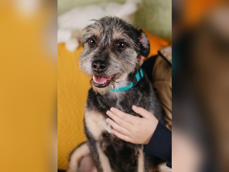 Shalim sucht nun den Platz für immer
