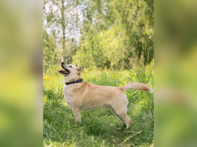 Grey ist aktiv im Leben