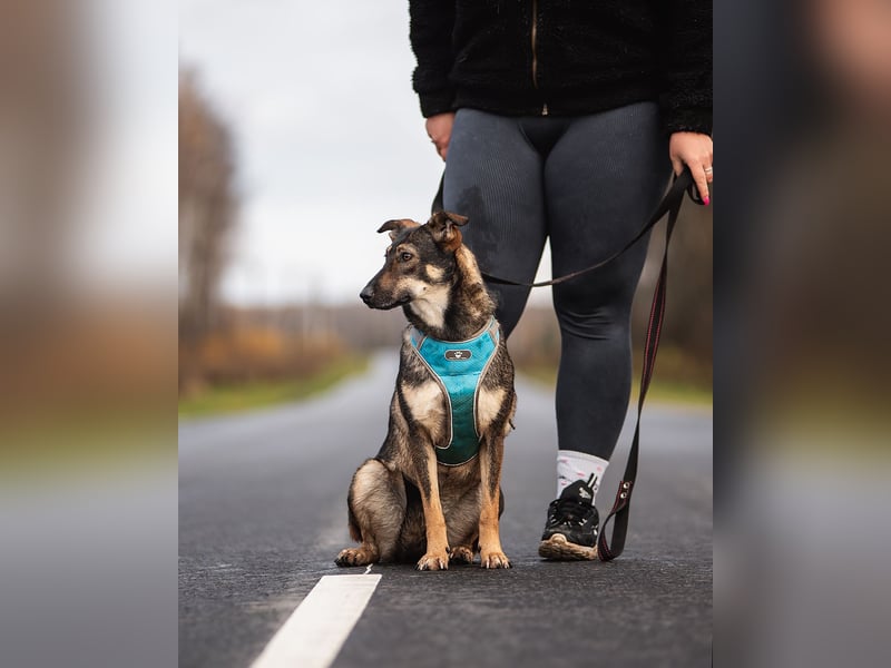 Liebevolle Olivka sucht ihren platz