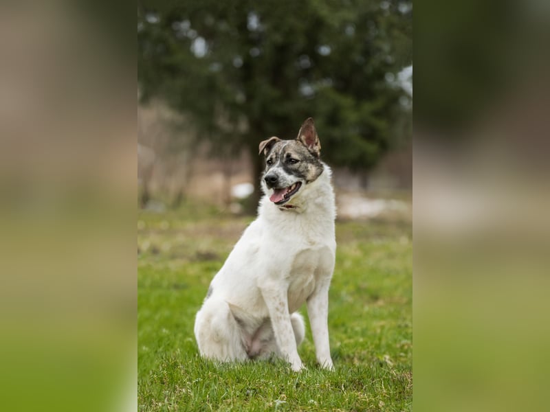 Julia will liebe und Geborgenheit