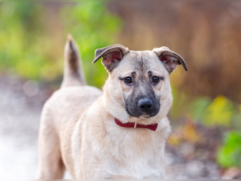 Iriska sucht liebe Menschen