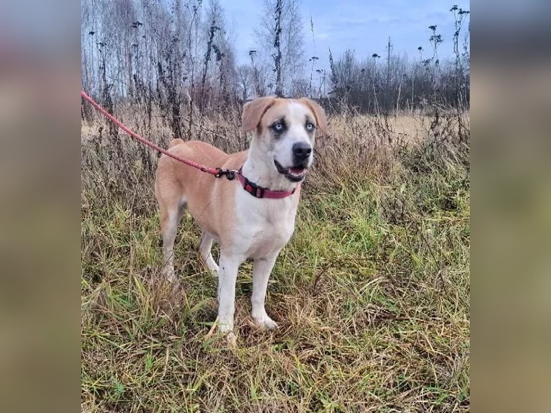 Jessie sucht ein aktives Leben