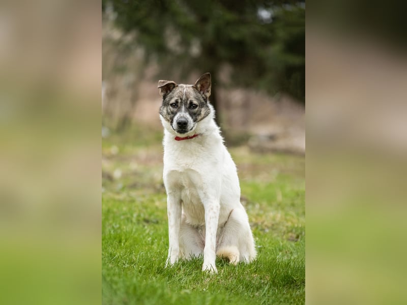 Julia will liebe und Geborgenheit