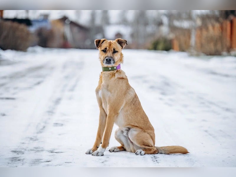 Kasper der wunderschöne...