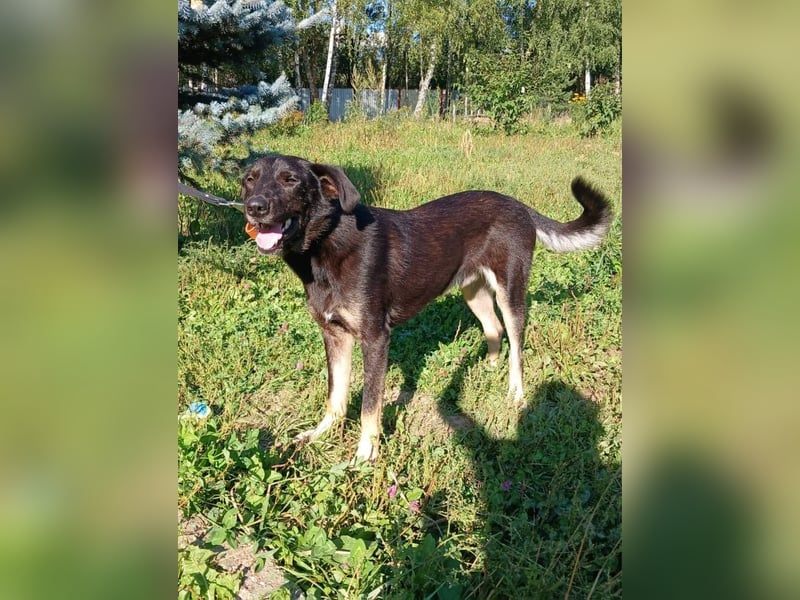 Junger lieber Roni sucht ....