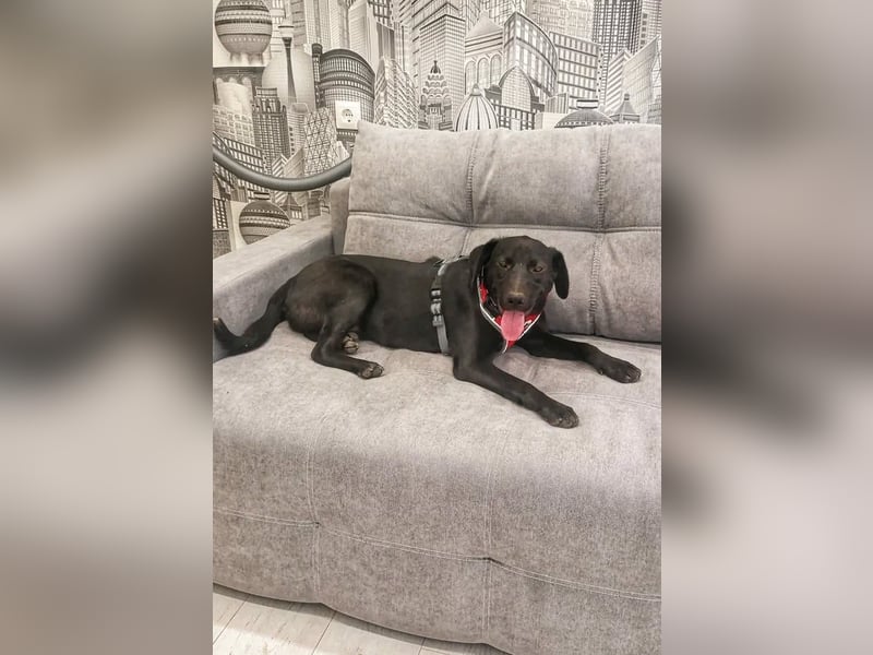 Freundlicher Justin liebt das Leben