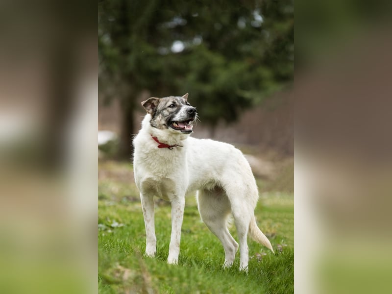 Julia will liebe und Geborgenheit