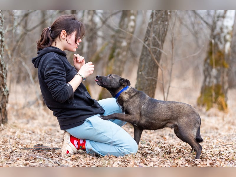 Ziganka sucht lievolles zu hause
