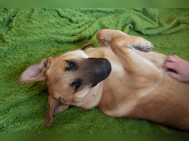 Junge hübsche Leia sucht Familie