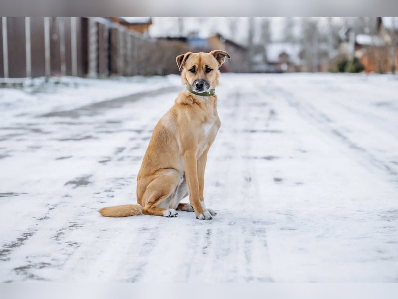 Kasper der wunderschöne...