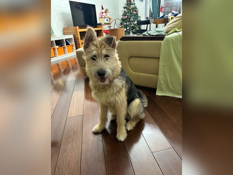 Lustige Jersey verzaubert alle