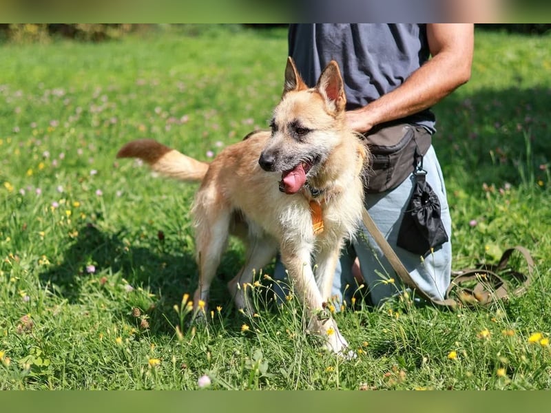Arisu sucht Familie für immer