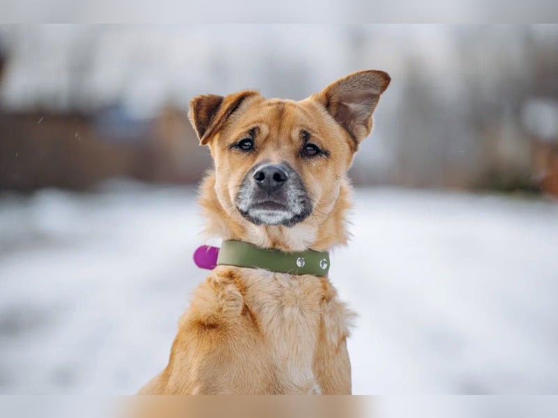 Kasper der wunderschöne...