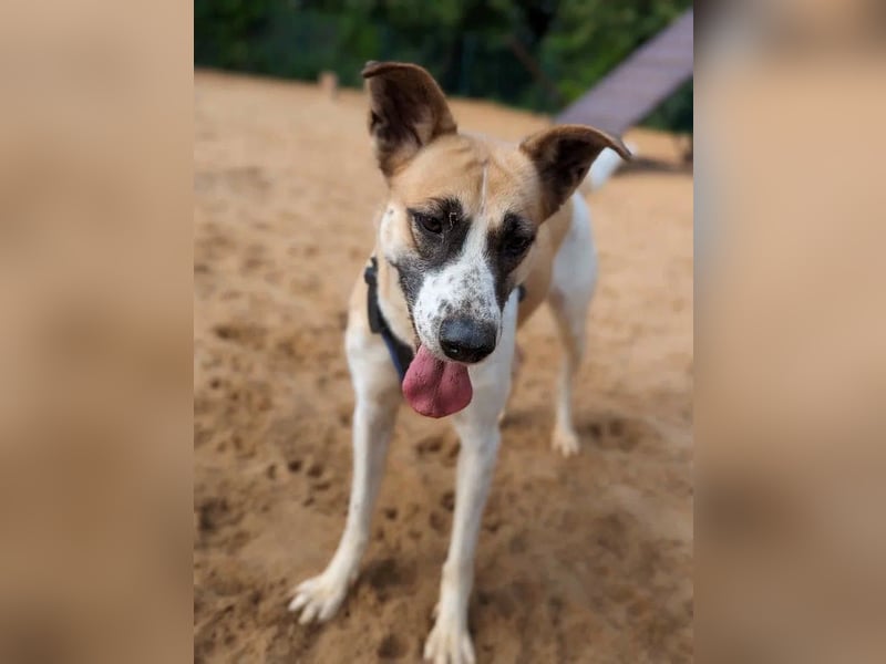 Marta hat noch so viel Lebensfreude