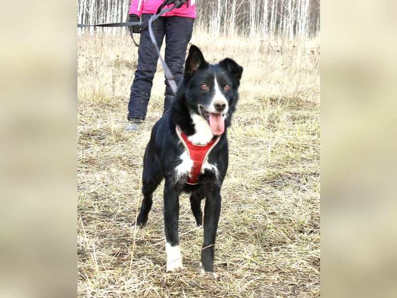 Mike sucht Traumzuhause