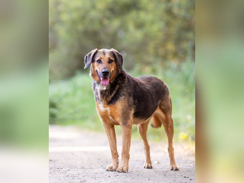 Elsa sucht ihre Familie