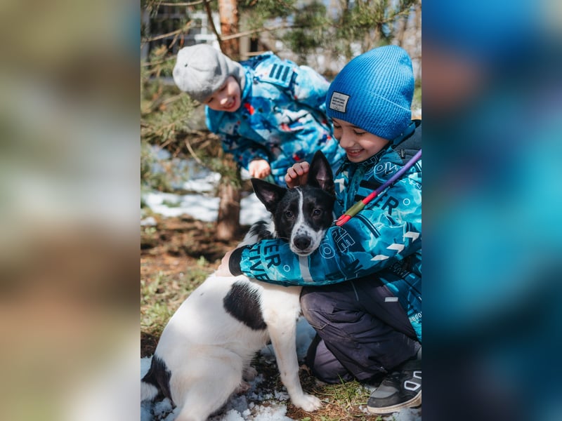 Die kleine Heidi sucht ein Zuhause