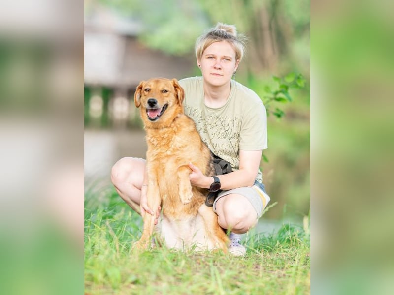 Hanny sucht ihren platz für immer