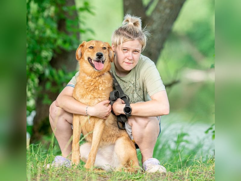 Hanny sucht ihren platz für immer