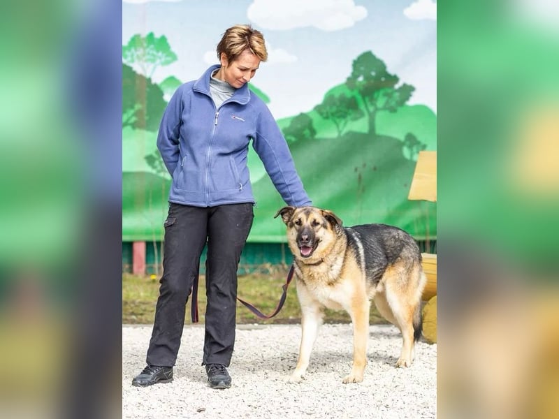 Sever hat sein ganzes Leben in einem Tierheim verbracht und träumt von einem Zuhause.