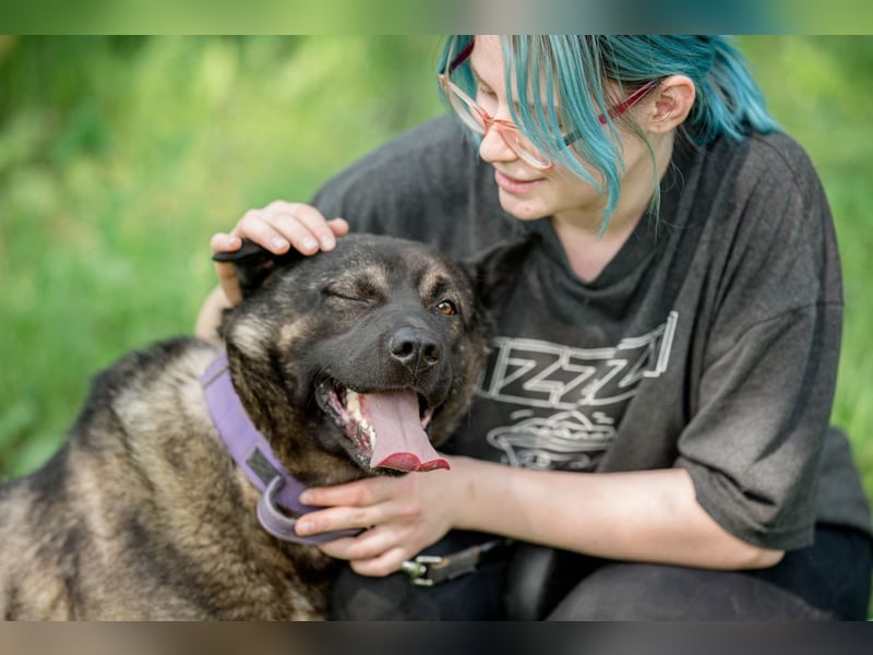 Aquila, der perfekte Hund mit besonderen Bedürfnissen sucht eine Familie