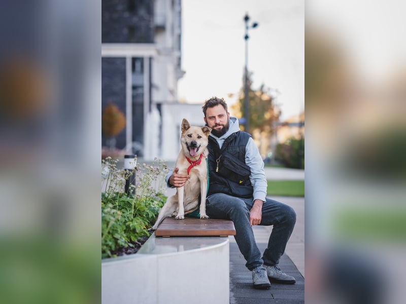 Skye treue seele sucht ....