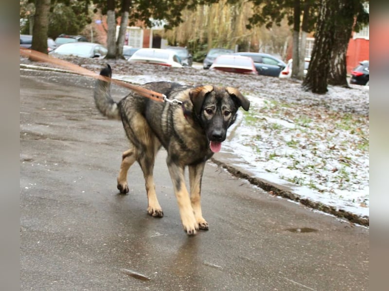 Selbstbewusste Tosya sucht aktive Menschen