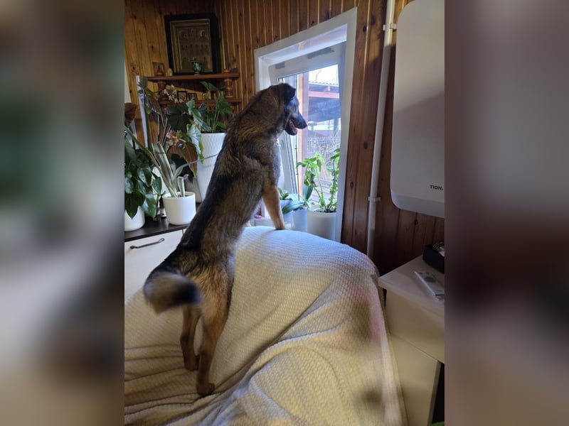 Ein Herz für Vasilisa geben Sie ihr eine Chance auf ein glückliches Leben!