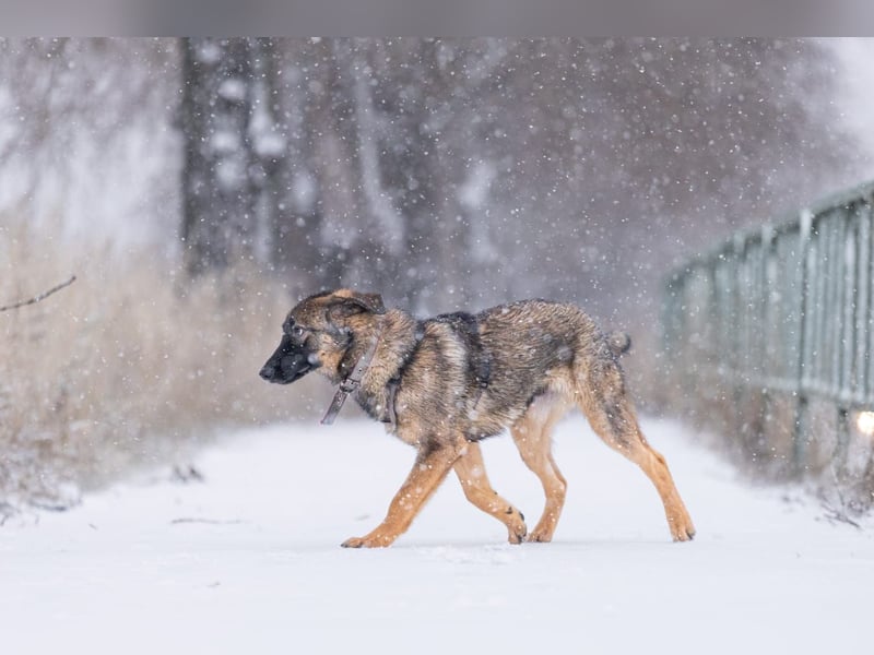 Ein Herz für Vasilisa geben Sie ihr eine Chance auf ein glückliches Leben!
