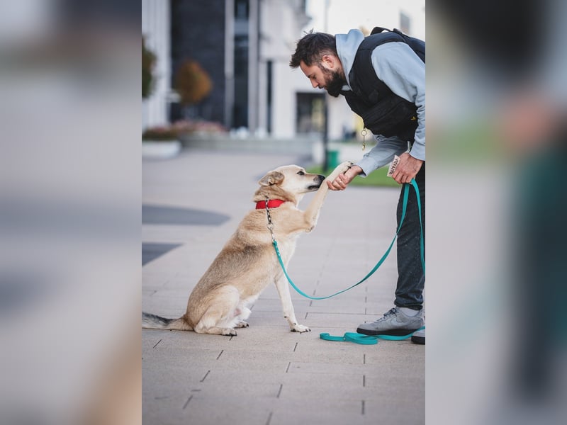 Skye treue seele sucht ....