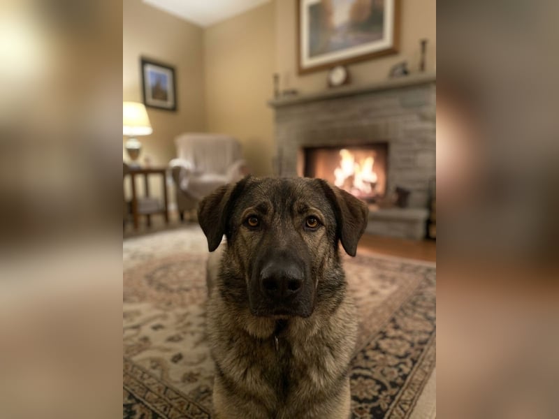 Selbstbewusste Tosya sucht aktive Menschen