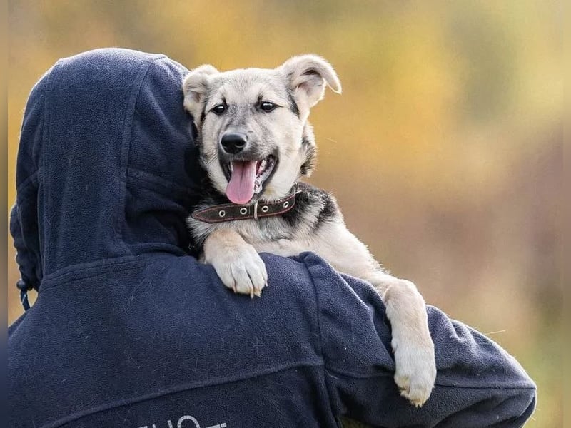 Junger Chernysh möchte die Welt Erkunden