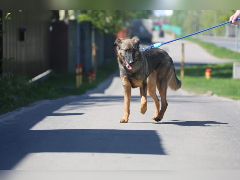 Ein Herz für Vasilisa geben Sie ihr eine Chance auf ein glückliches Leben!