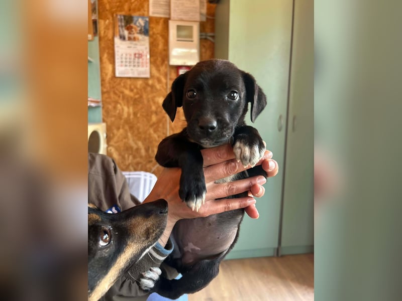 Kleine Grace sucht ihr großes Glück ❤