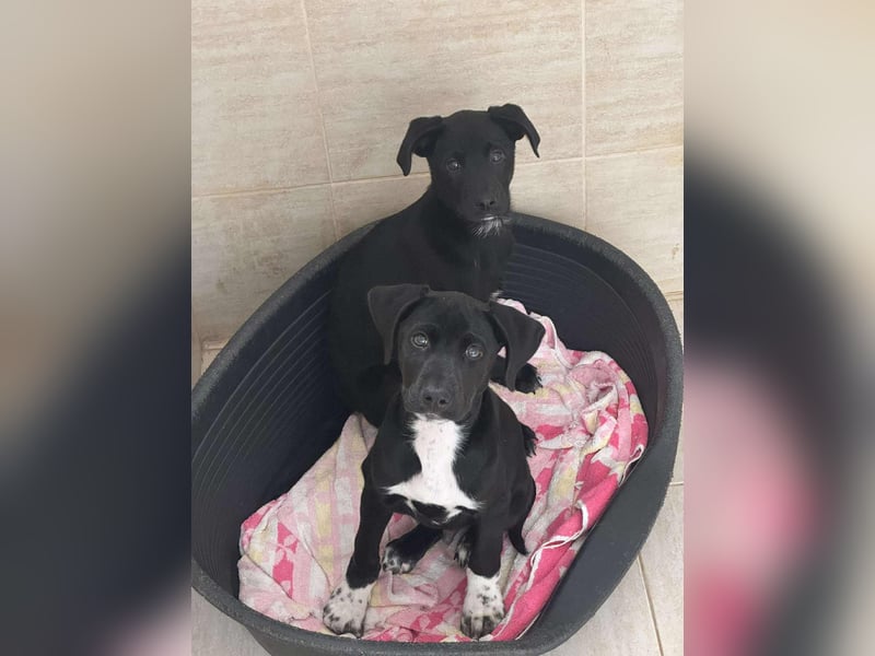 Caleb – ein kleiner Entdecker auf der Suche nach seinem Glück ❤️