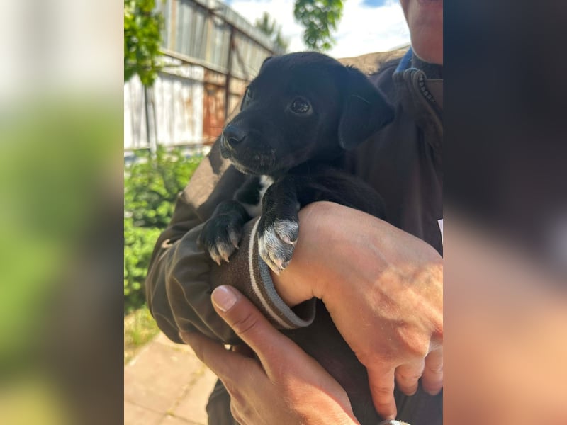 Kleine Grace sucht ihr großes Glück ❤