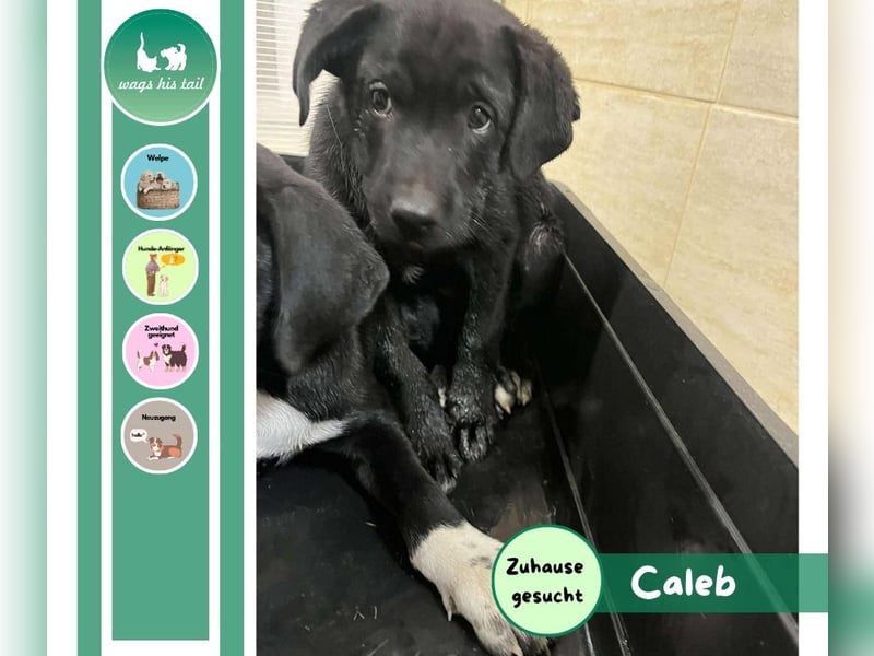 Caleb – ein kleiner Entdecker auf der Suche nach seinem Glück ❤️