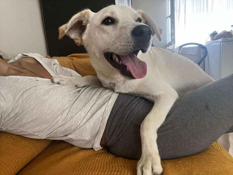 Duke - Knuddelbär mit Herz ❤️ Duke - Knuddelbär mit Herz ❤️