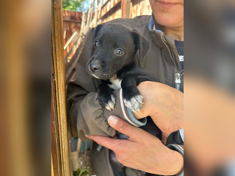 Kleine Grace sucht ihr großes Glück ❤
